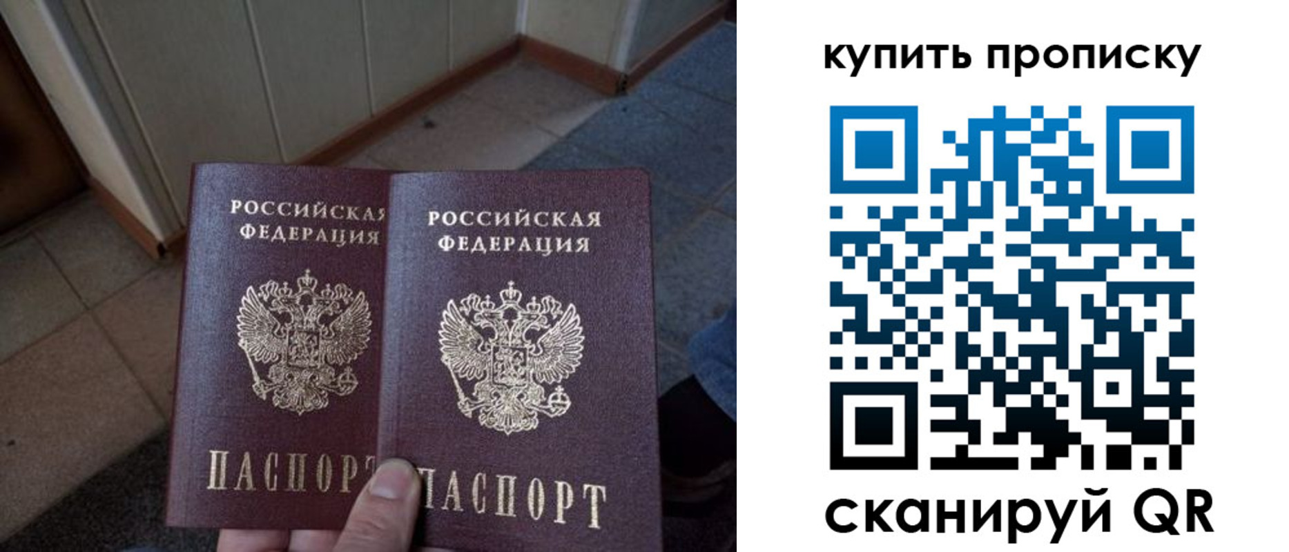 купить прописку в Саратовской области